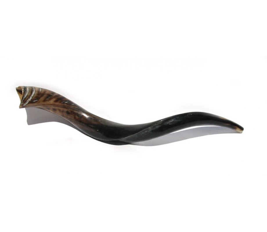 2 Yemenite Shofars - Polished - 33
