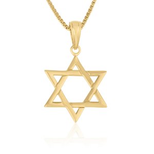 14K Gold Necklace, Classic Shaped Star of David Pendant � Smooth Finish