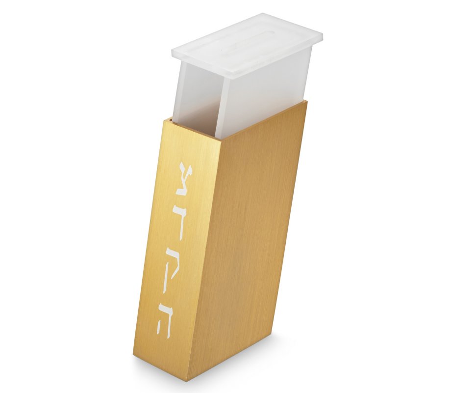 Adi Sidler Contemporary Brushed Aluminum Tzedakah Charity Box - Gold