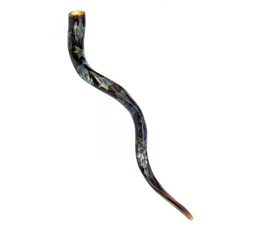 Collectors Hand Painted Yemenite Shofar - Grapevine