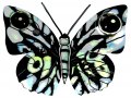 David Gerstein Double Sided Steel Wall Sculpture - Naomi Butterfly