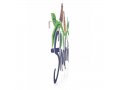 Dorit Judaica Colorful Shalom Wall Plaque, Doves on Olive Branch  English
