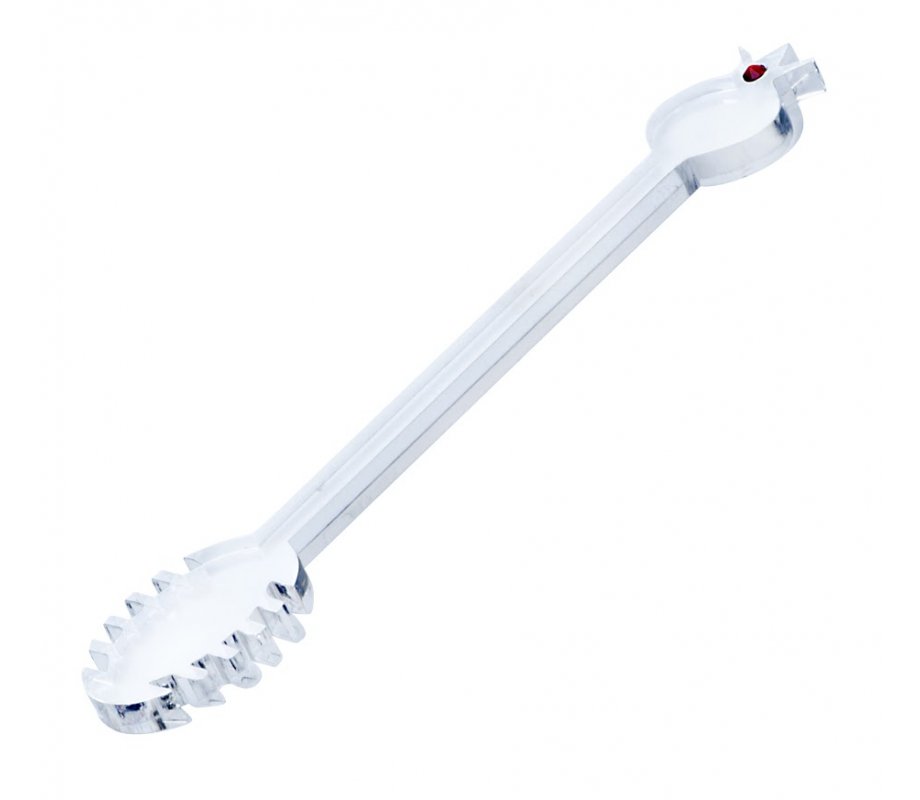 Dorit Judaica Glass and Stainless Steel Honey Dish with Spoon - Pomegranates