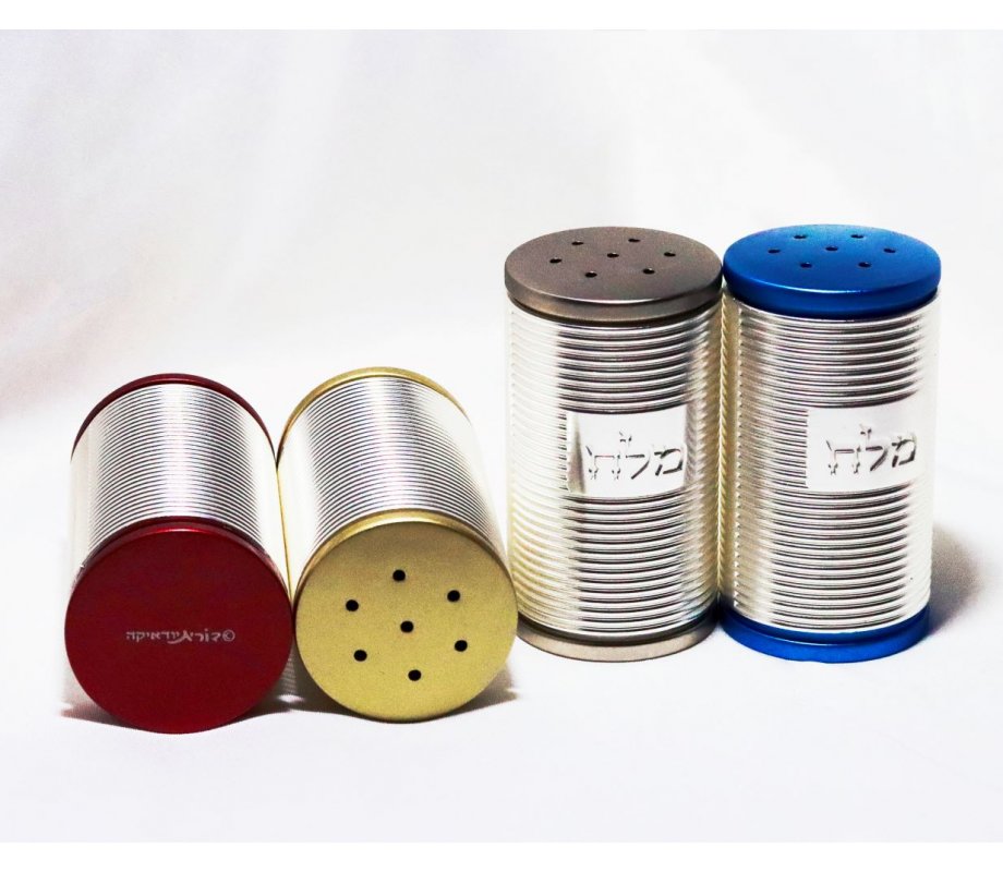 Dorit Judaica Spiral Design Salt Shaker with Hebrew Plaque - Shades of Silver