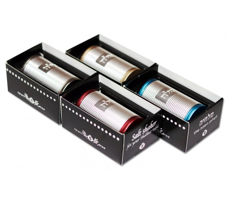 Dorit Judaica Spiral Design Salt Shaker with Hebrew Plaque - Silver and Turquoise