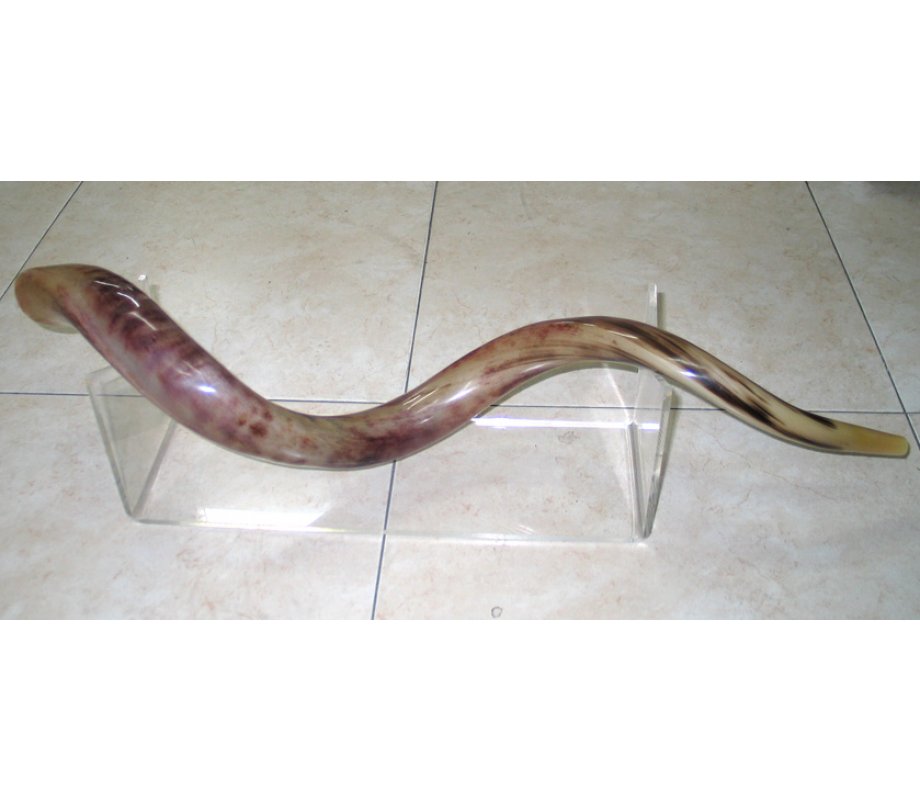 Extra Large Lucite Stand - for Yemenite Shofars 40-52 Inches Length