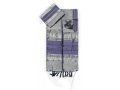 Gabrieli Handwoven Silk Tallit Set - Purple and Silver Stripes