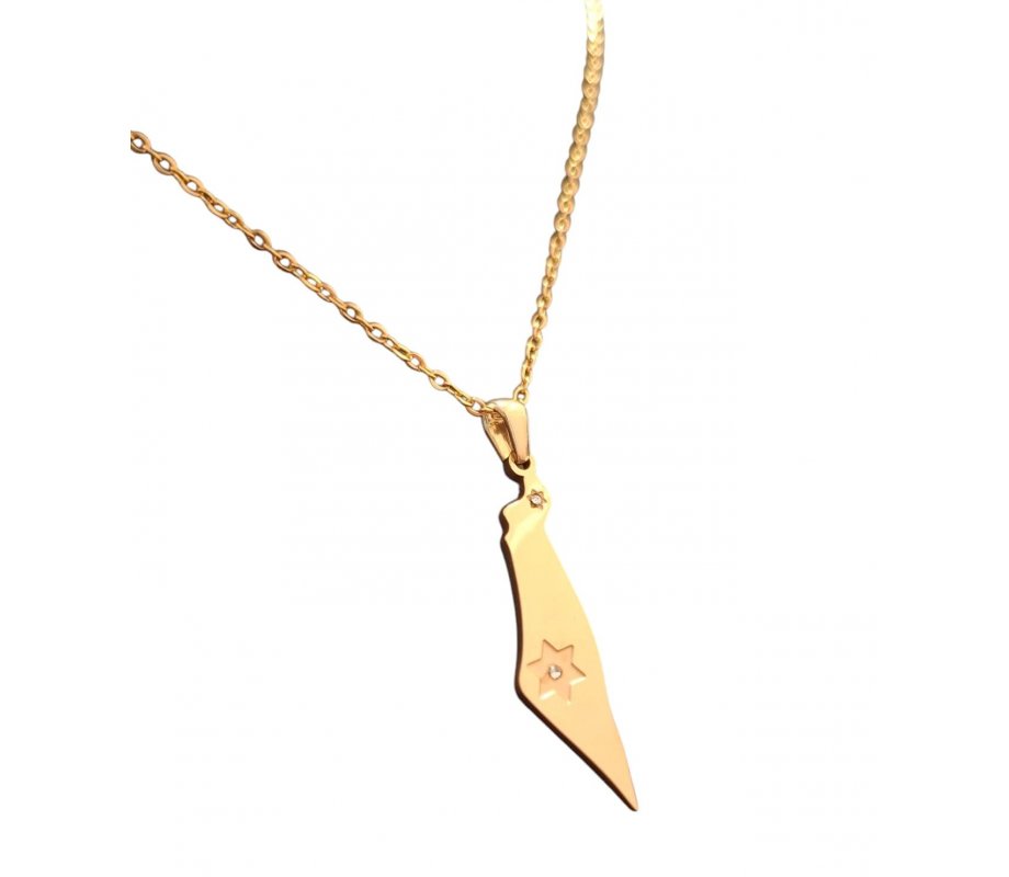 Gold Stainless Steel Pendant Necklace, Outline of Israel with Star of David