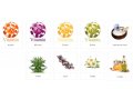H&B Firming Facial Mask with Collagen, Dead Sea Minerals and Plant Extracts