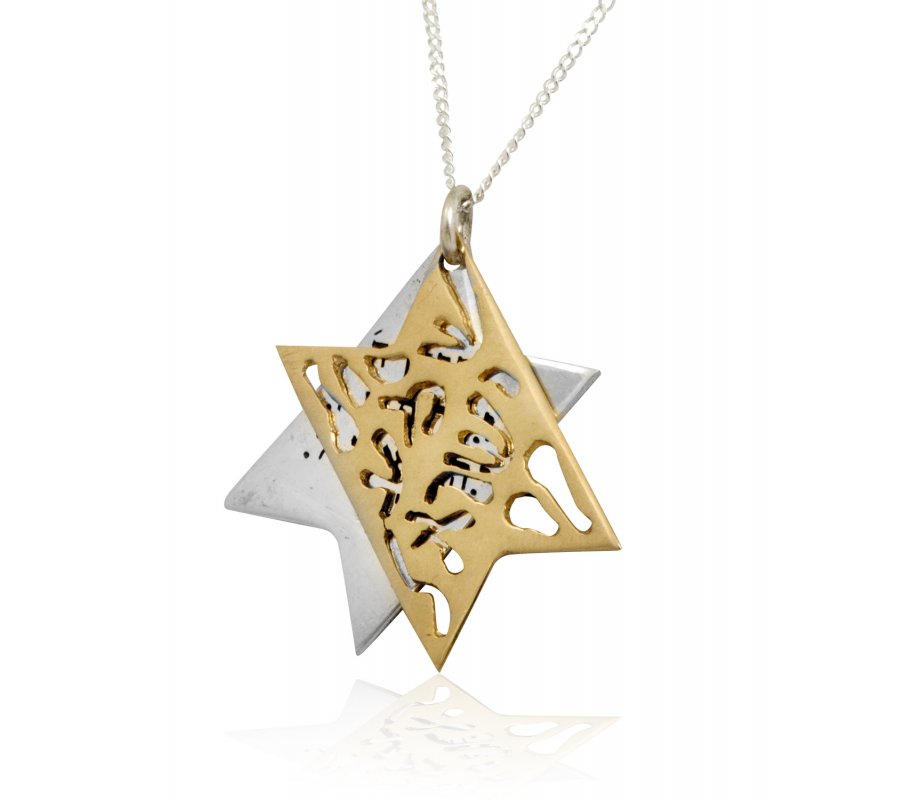 HaAri Jewelry Shema Yisrael Star of David Two-Tone Pendant 9K Gold & Sterling Silver