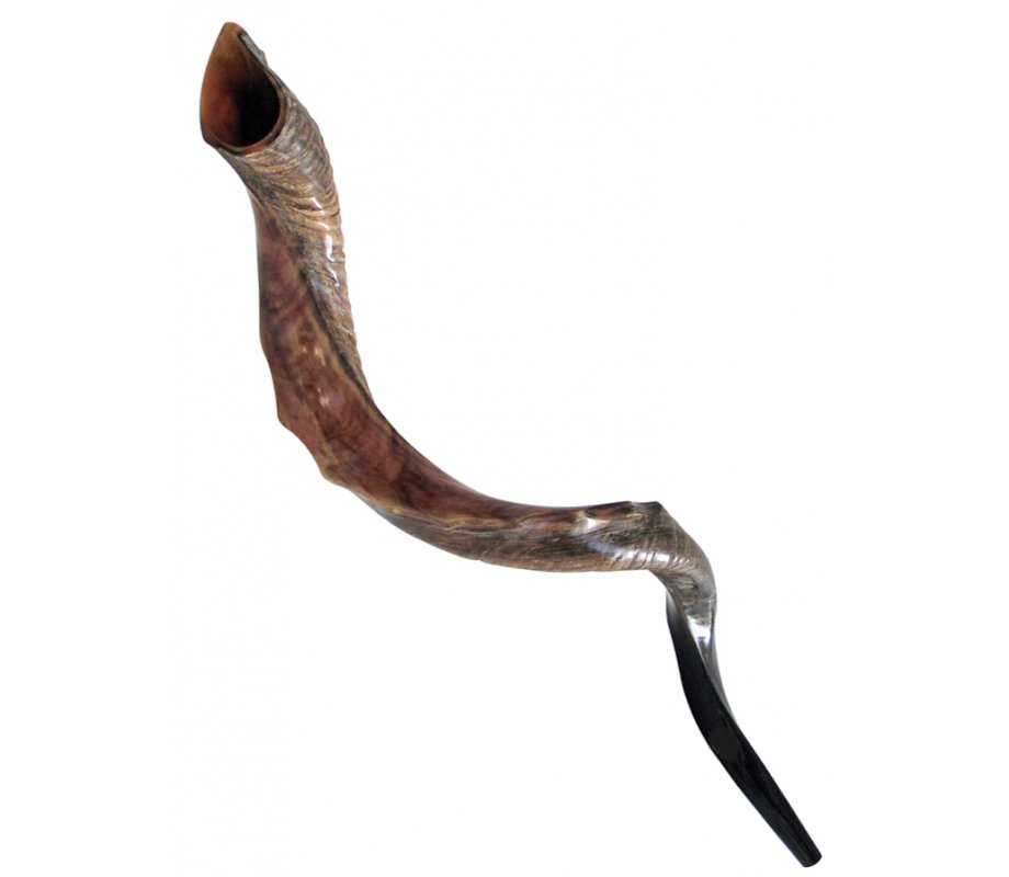 Half Natural Half Polished Nostalgic Crown Yemenite Shofar