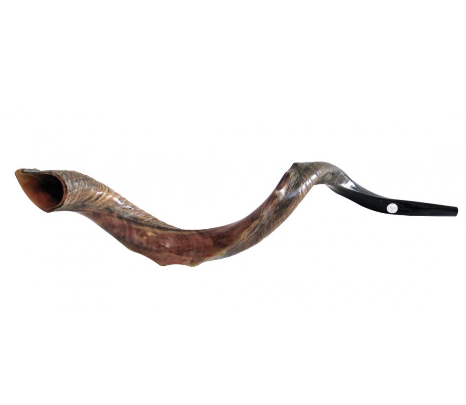 Half Natural Half Polished Nostalgic Crown Yemenite Shofar