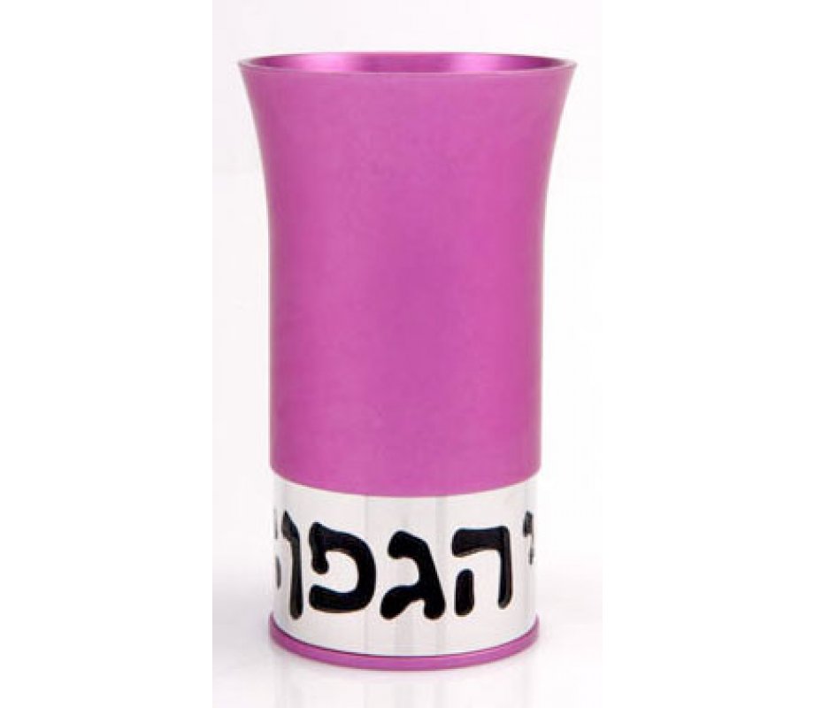 Hot Pink Kiddush Cup by Agayof