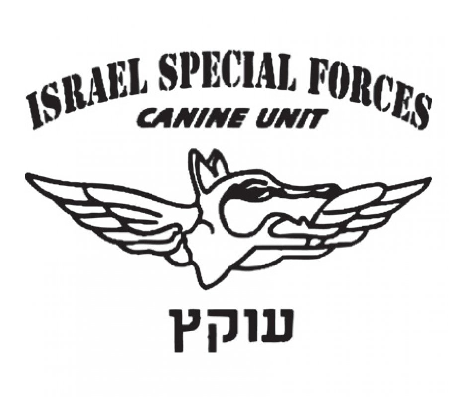 IDF
