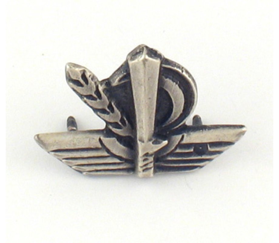 Israeli Army Lapel Pin, Nachal Brigade