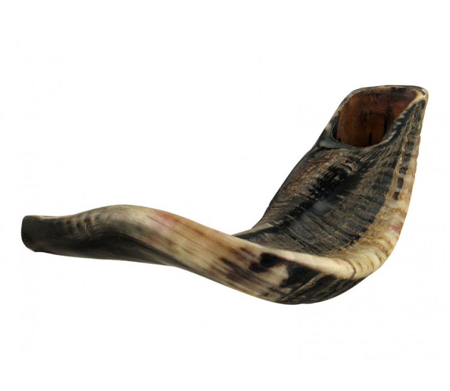 Large Black Rams Horn Shofar - Natural