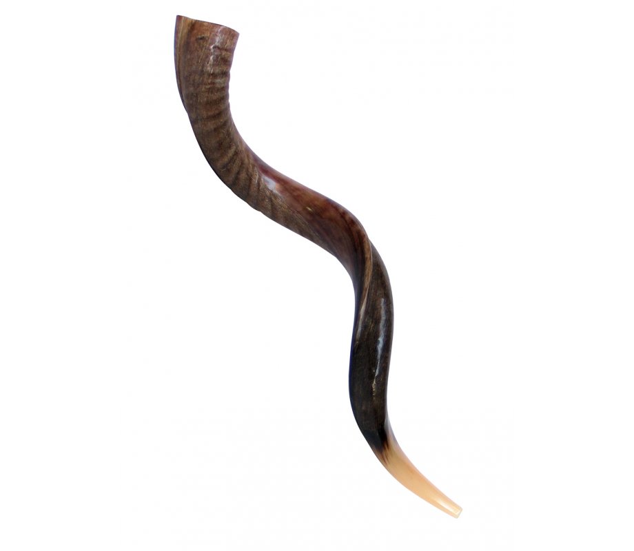 Large Yemenite Kudu Shofar - Half Polished Half Natural
