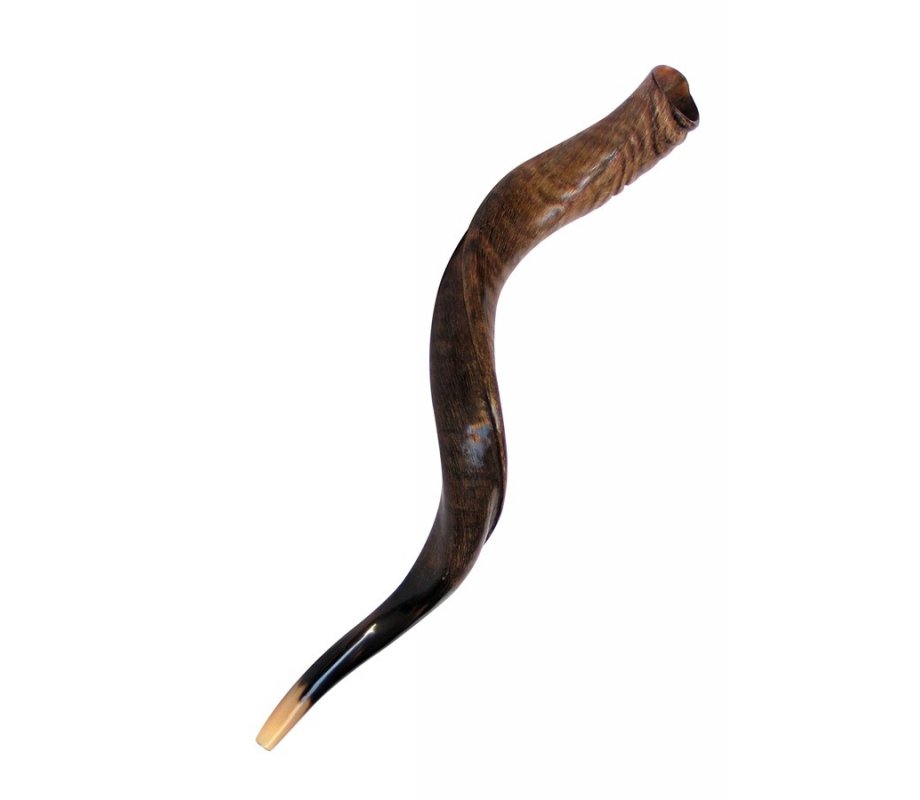 Medium Yemenite Shofar Natural Finish