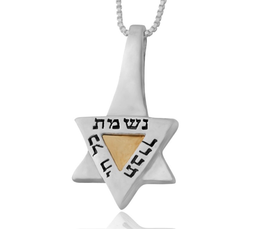 Nishmat 5 Metals Necklace by HaAri Jewelry