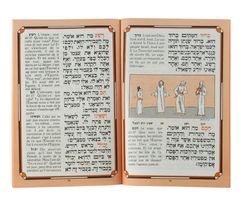 Pesach Haggadah with French Translation - Softcover