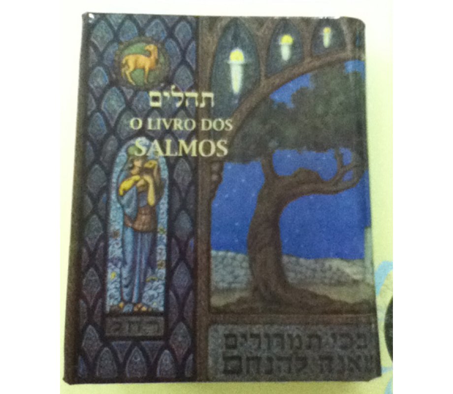 Pocket Size Book of Psalms - with Portugese Translation