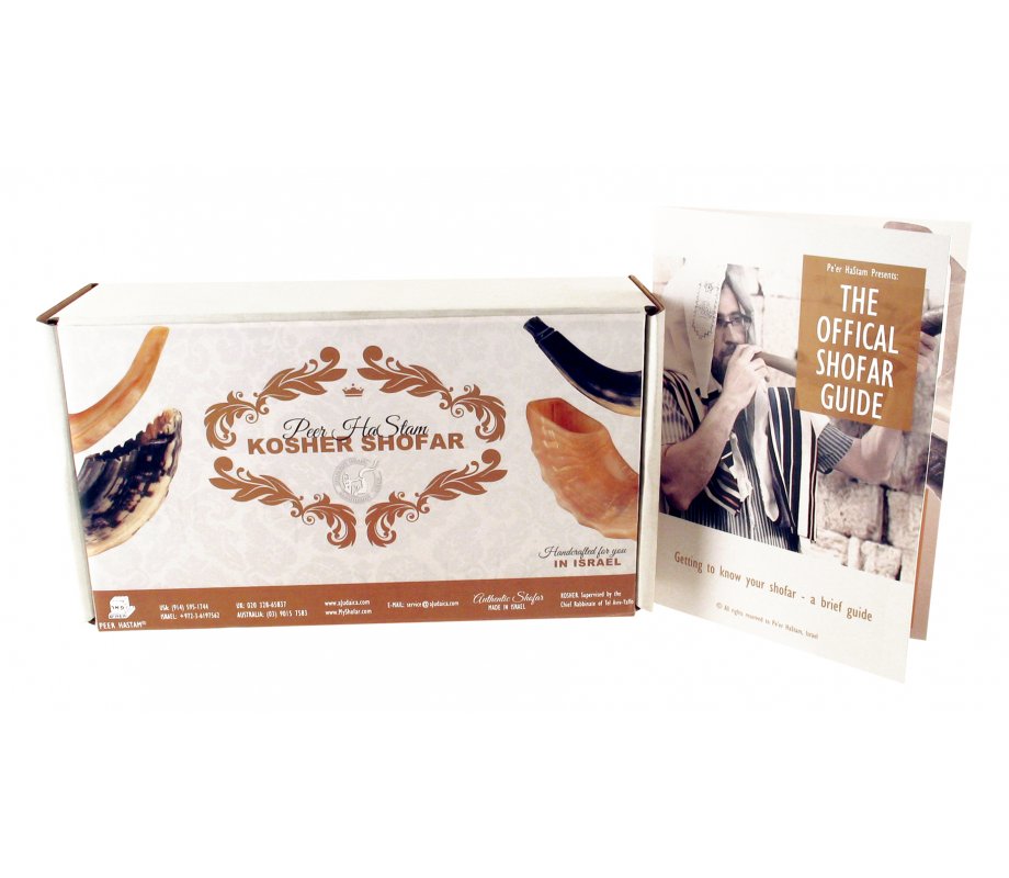 Polished Ram's Horn Shofar with Bag and Cleaning Spray Gift Set