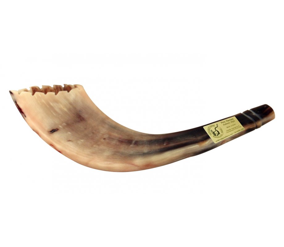 Ram's Horn Shofar Moroccan Style Light Color with Crown Cut