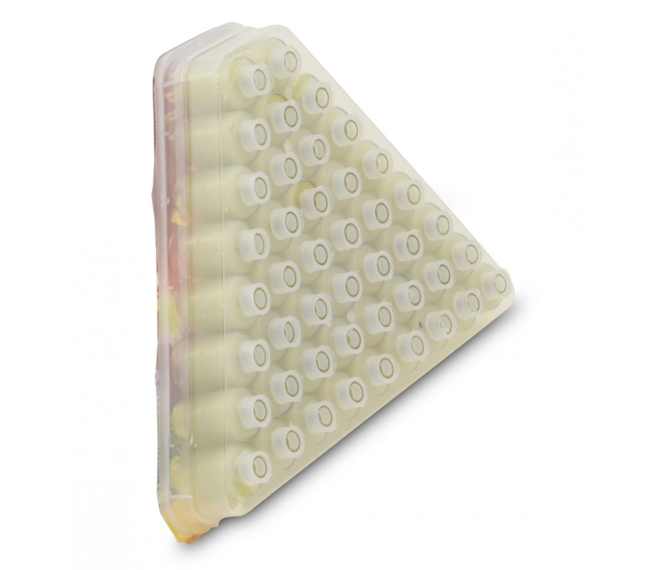 Ready to Light Chanukah Menorah, Pre filled Cups with Gel Olive Oil - Medium