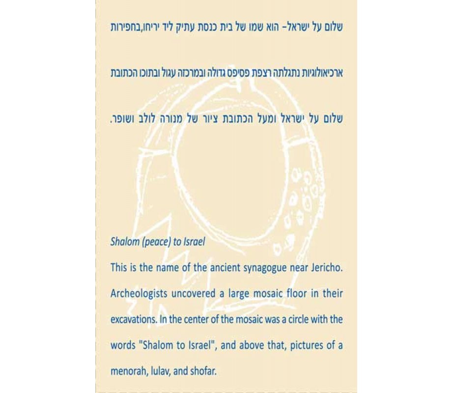 Shraga Landesman Brass Wall Hanging Menorah Pomegranate - Shalom Al Yisrael