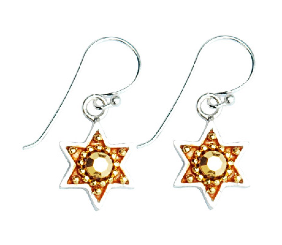 Silver Earrings with Star of David by Ester Shahaf
