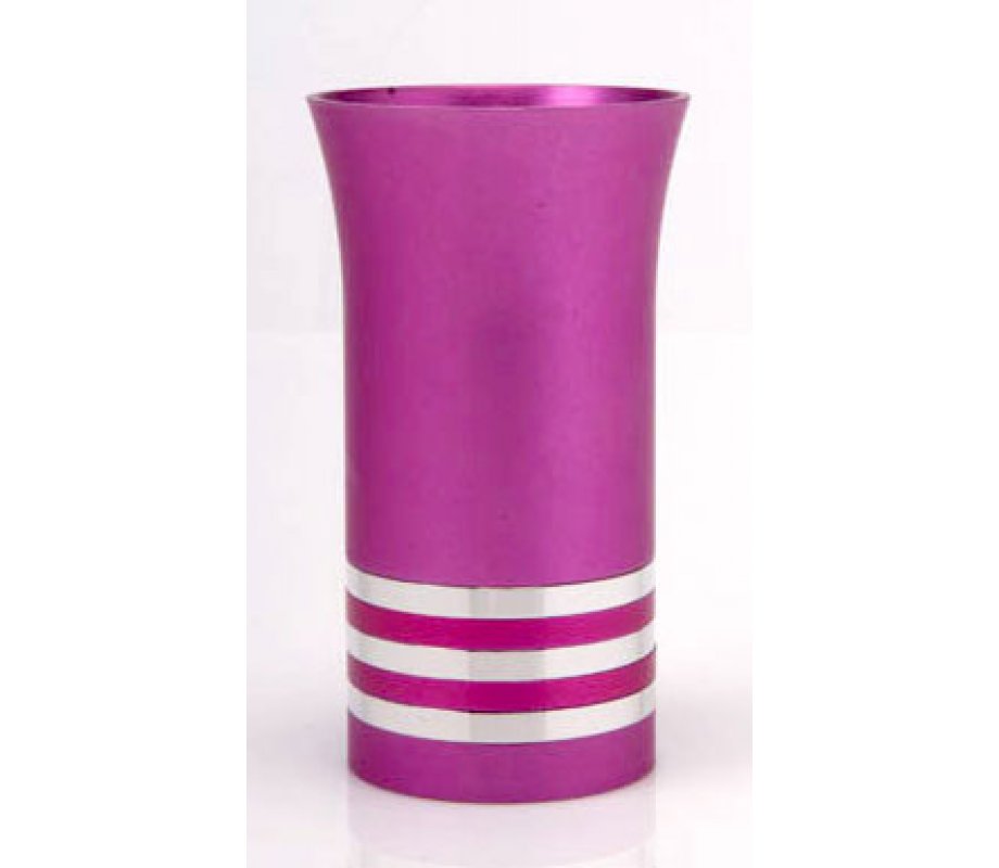 Silver Stripe Hot Pink Kiddush Cup by Agayof
