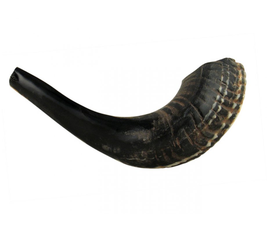 Small Black Rams Horn Shofar - Natural