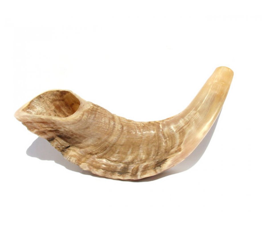 Small Rams Horn Shofar Natural Finish