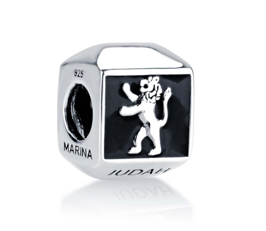 Sterling Silver Square Lion of Judah Charm