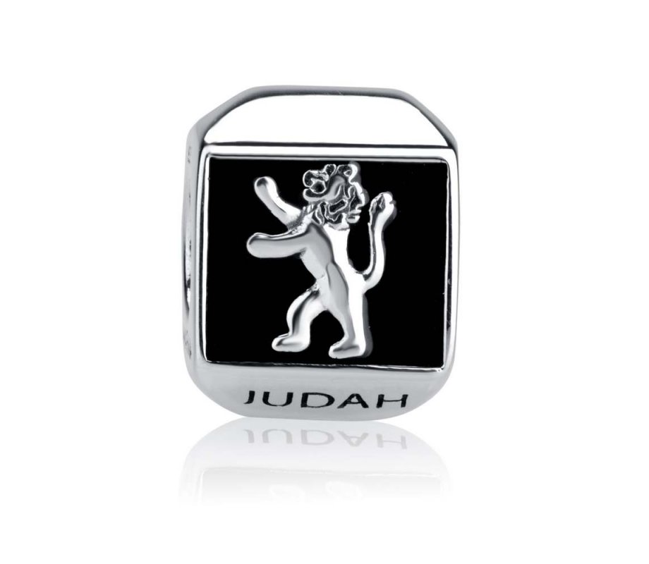 Sterling Silver Square Lion of Judah Charm
