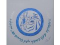 YehuditsArt Papercut and Calligraphy Wall Decor - State of Israel Celebration